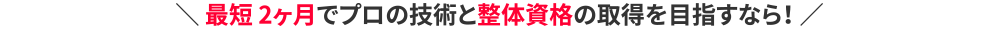 ＼ 最短 2ヶ月でプロの技術と整体資格の取得を目指すなら！ ／